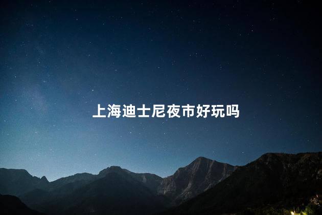 上海迪士尼夜市好玩吗