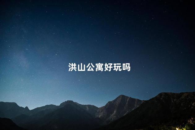 洪山公寓好玩吗