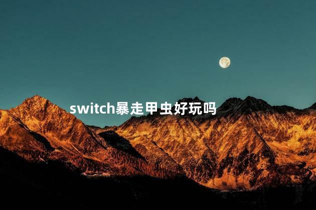 switch暴走甲虫好玩吗