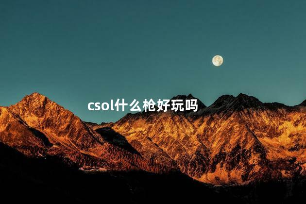 csol什么枪好玩吗