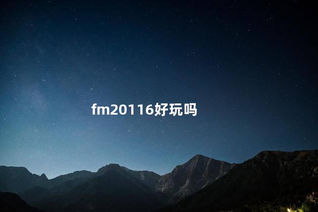 fm20116好玩吗