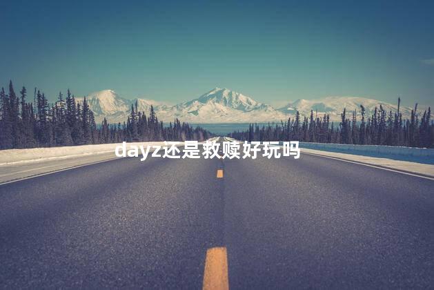 dayz还是救赎好玩吗