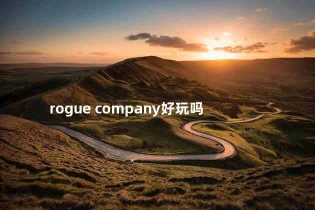 rogue company好玩吗