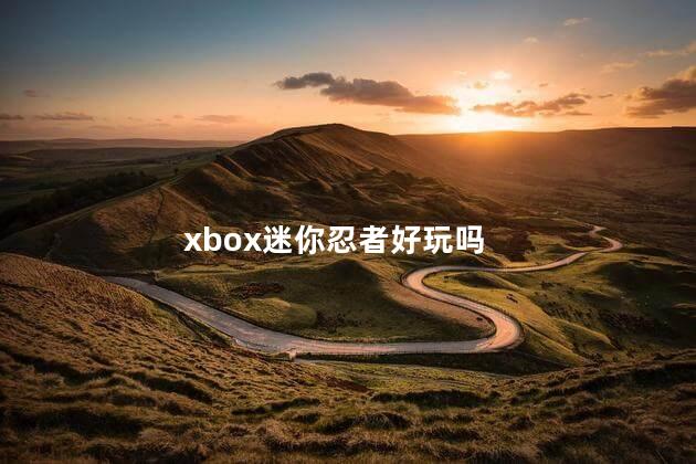 xbox迷你忍者好玩吗