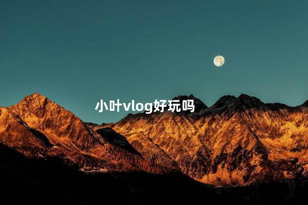 小叶vlog好玩吗