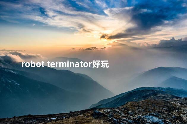 robot terminator好玩吗