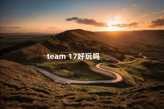 team 17好玩吗