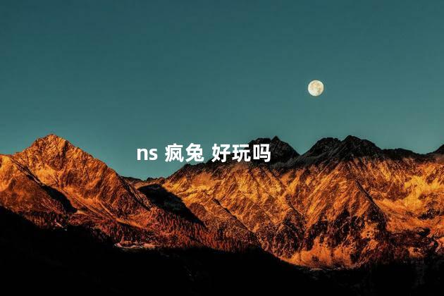 ns 疯兔 好玩吗