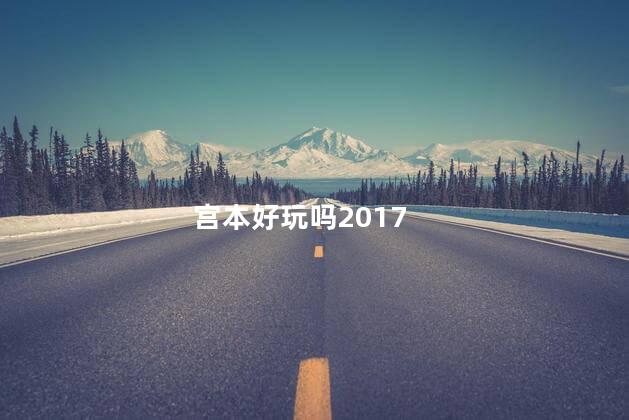 宫本好玩吗2017