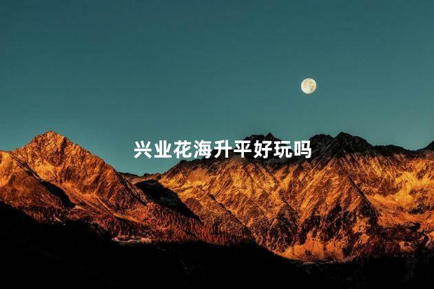 兴业花海升平好玩吗